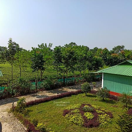 Grasshopper Jungle Queen Resort Chālsa Exterior foto