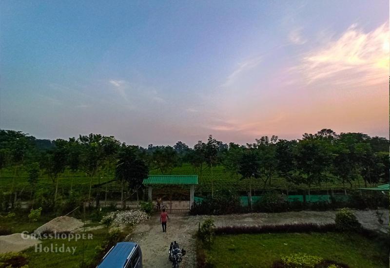 Grasshopper Jungle Queen Resort Chālsa Exterior foto